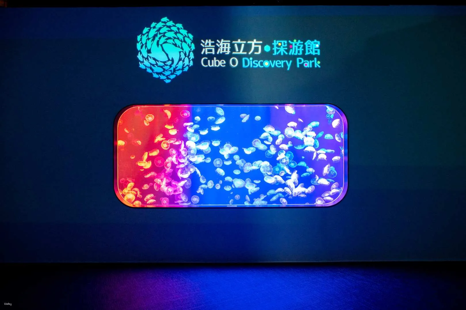 https://image.kkday.com/v2/image/get/w_1920,h_1080,c_fit,q_55,wm_auto/s1.kkday.com/product_144965/20230605091546_wTTjy/jpg