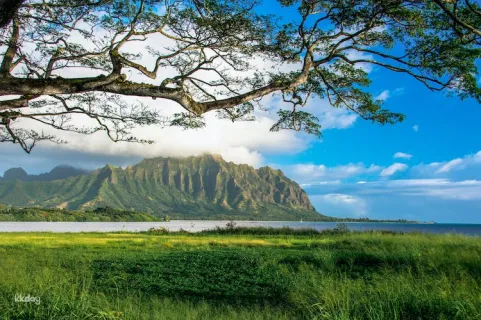 Hawaii Oahu | Complete Island and Sunrise Photo Tour from Waikiki