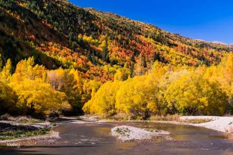 [Chinese-Speaking and Queenstown Departure] Queenstown, Wanaka, Fruit Town and Arrowtown Day Tour | New Zealand