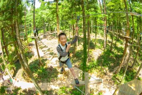 Zip line 15m above the trees! Activity experience at Hiroshima Prefectural Mominoki Forest Park [Forest Adventure Hiroshima]