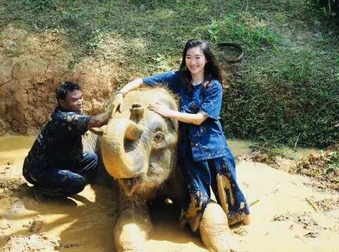 Elephant Care Experience: Feeding, Bathing & Mud Spa in Phuket | Thailand