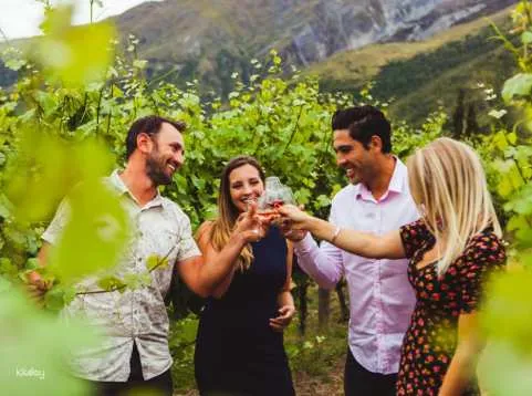 [World Most Southern Wine Region] Queenstown Wine Cave Day Tour | New Zealand