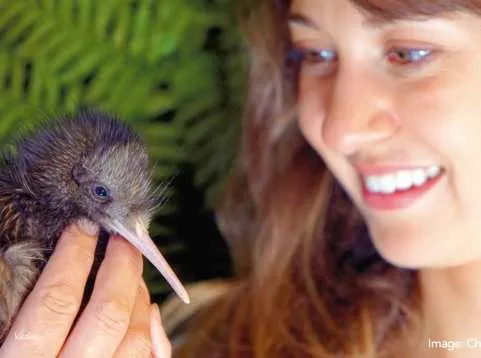 Kiwi Birdlife Park Queenstown Ticket | New Zealand