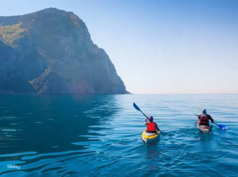 Pohatu Sea Kayaking & Scenic 4WD Safari from Akaroa | New Zealand