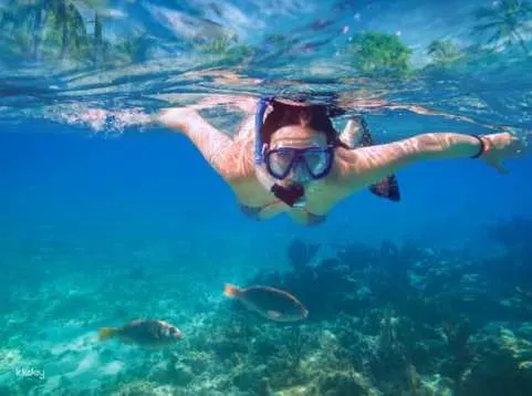Coron ATV Offroad and Snorkeling Experience With Glass Bottom Boat Ride: Siete Pecados Trail with Free Transfers | Palawan