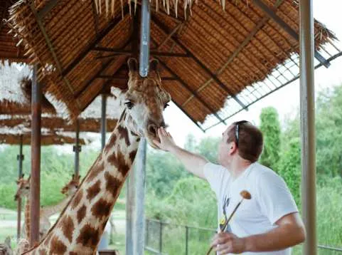 Bangkok Private Day Tour: Safari World with Chocolate Ville or Botanist Activity Space & Cafe and Jodd Fairs