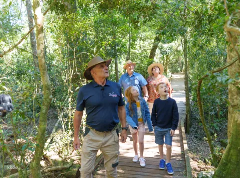 【Lunar New Year Promo | Win Red Packet】Lamington National Park, O'Reilly's & Vineyard Full Day Tour | Gold Coast