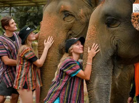 Phuket Island Elephant Jungle Sanctuary Experience | Thailand