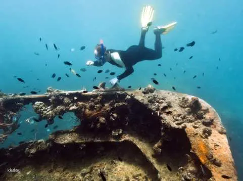 Coron Palawan Reef & Wrecks Tour: Pass Island, Lusong Gunboat, Lusong Coral Garden | Philippines