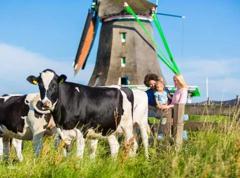 Volendam, Marken & Windmills Day Trip from Amsterdam｜Netherlands