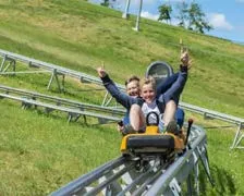Roller coaster & Ostrich farm adventure